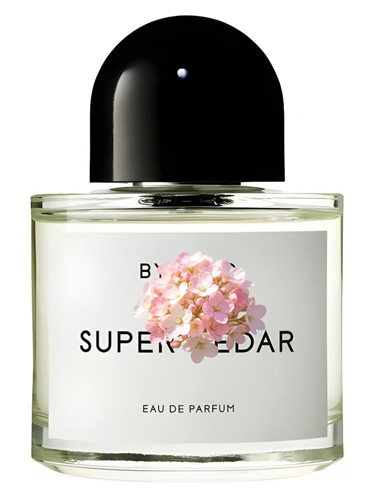 Unisex Eau de Parfum 100ml 3.4 - Perfume Scent Fragrance recensie en prijs